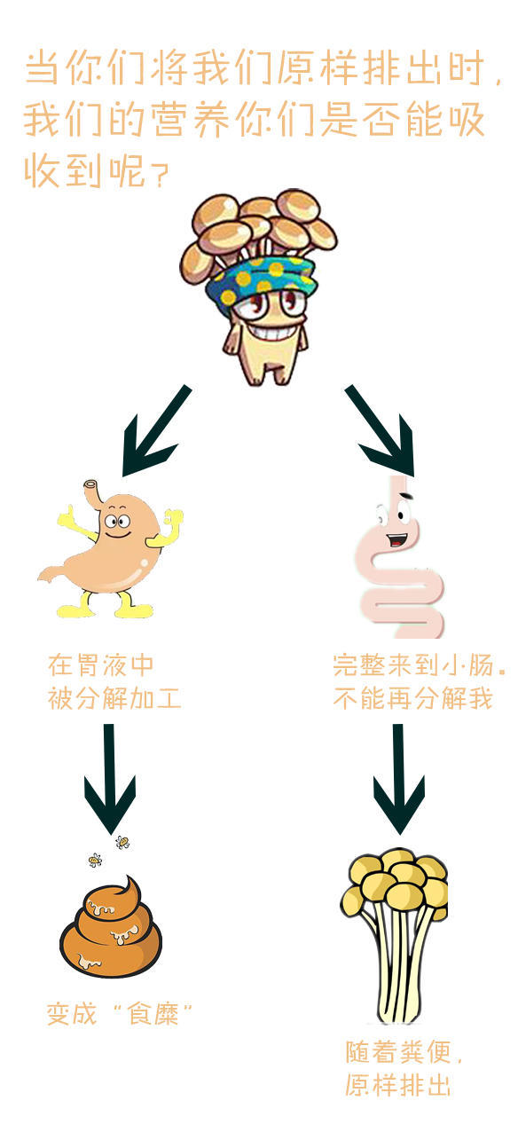 see you around 是地道的英文吗_金针菇英文名see you_see you later的英文歌