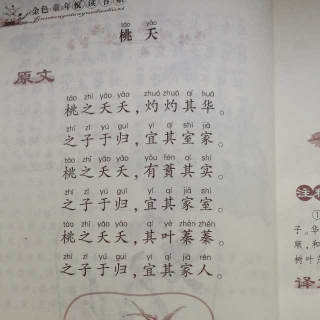 诗经给龙凤胎起名字_龙凤双胞胎起名_诗经龙凤胎起名