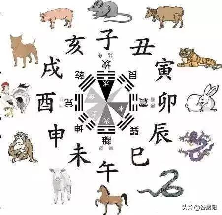 属蛇的宝宝起名宜用字_女孩子用钧字起名好吗_属羊的人起名宜用字