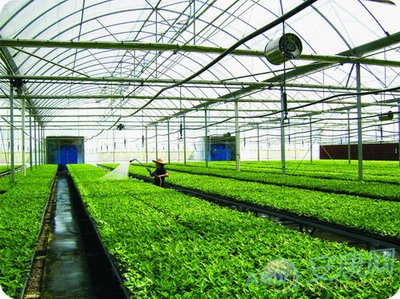 农业合作社起名规定_成都市西江月农业生态观光有限公司_绿色生态农业公司起名
