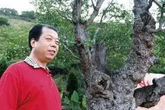 网店卖枣起名大全