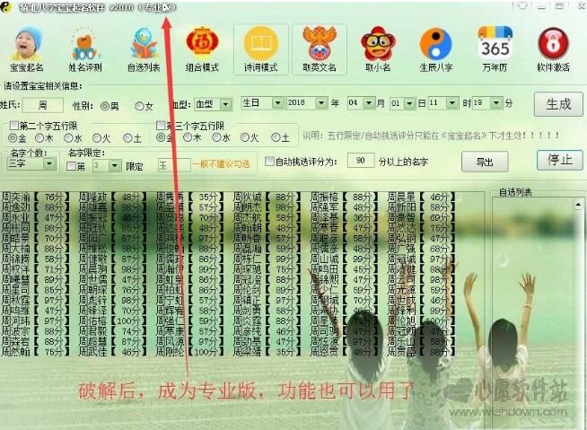 精准八字宝宝起名软件v2018专业版_wishdown.com