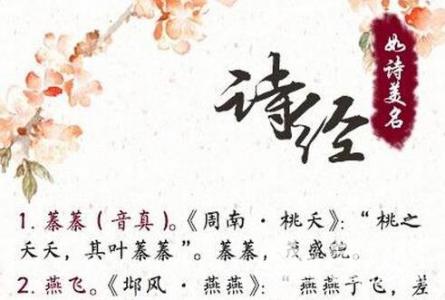 用诗经给女宝宝起名字_用诗经给女宝宝起名字