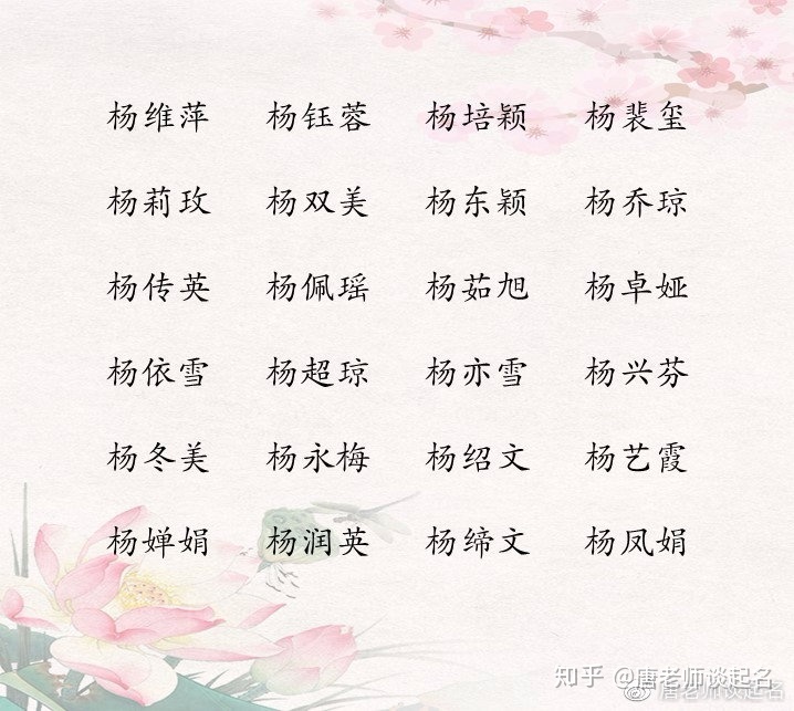 给姓杨的女宝宝起名字