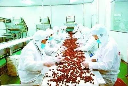 网店卖枣起名大全