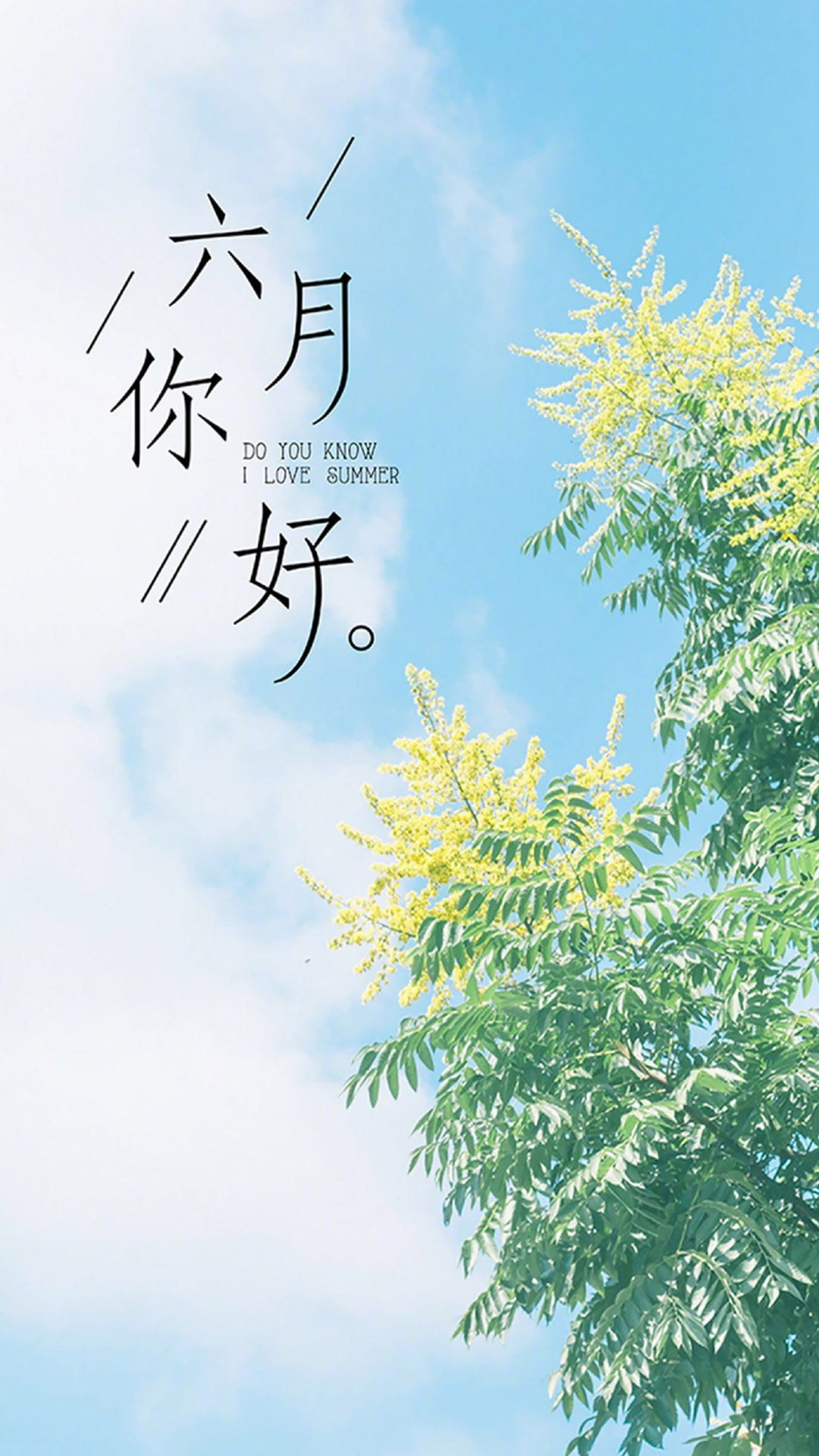清新文艺的英文名_清新文艺的英文名