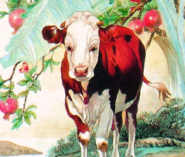 1973年属牛人寿命多长： 73年的牛寿命是多长？