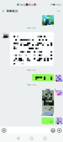 家族群名称大全微信名