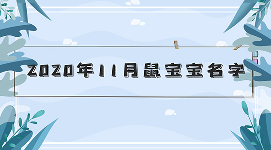 2020年11月鼠宝宝名字