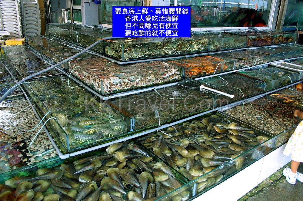 海产品网店起名字_海产品网店起名字