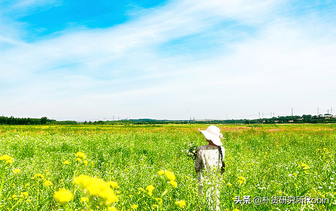 宝宝起名字典_取名五行字典,起名字典_起名字典大全