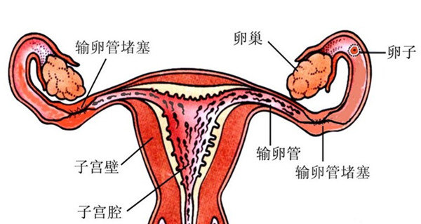 婴儿八字起名_婴儿生辰八字起名_婴儿起名