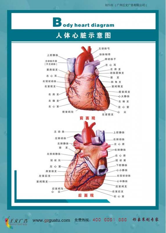 2009牛宝宝取名禁忌_属狗的取名禁忌_属牛取名禁忌