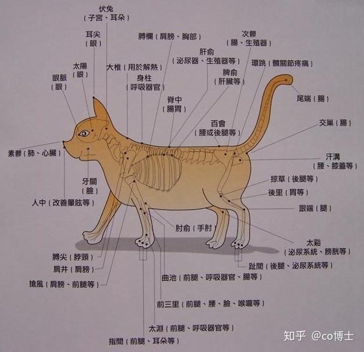 羊宝宝起名大全_给羊宝宝起名大全_羊女宝宝起名大全