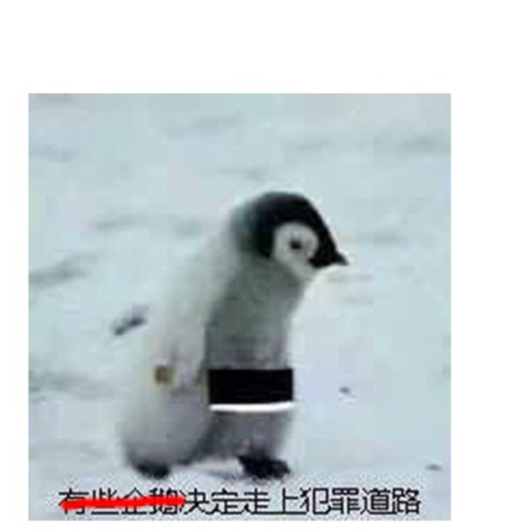 企鹅自媒体怎么起名字_企鹅媒体平台怎么样_企鹅媒体平台