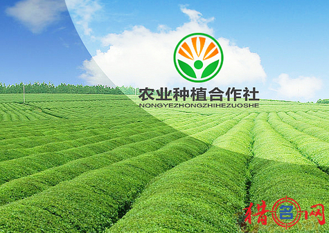 农资合作社起名大全_种植合作社起名字大全_种植合作社名字大全