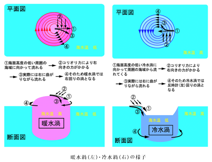 台风起名字