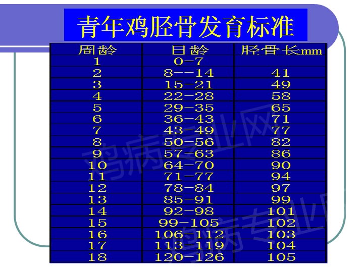 鸡年女宝宝起名_羊年女宝宝起名大全2015年_2015年羊年女宝宝董氏起名大全