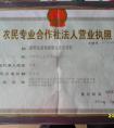 专业合作社取名:农民专业合作社怎么起名