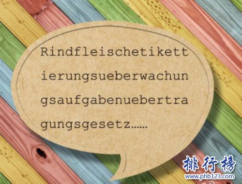 十大世界上最长的单词,最长的单词由一百个字母组成