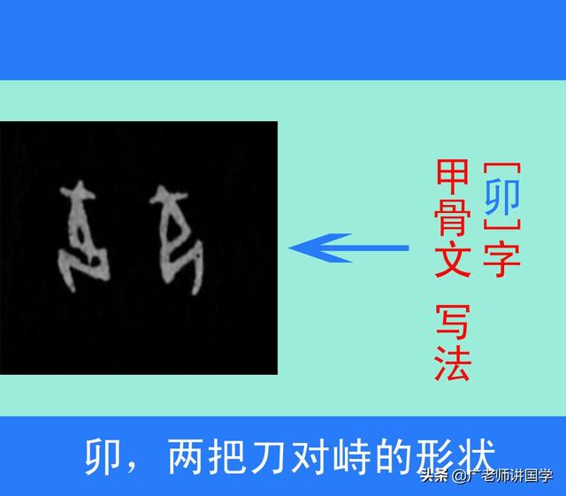 属鼠取名宜忌用什么字_12生肖起名取名用字宜忌_属蛇起名宜忌用之字