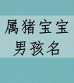 属猪的姓黄怎么取名 王姓猪年女宝名字