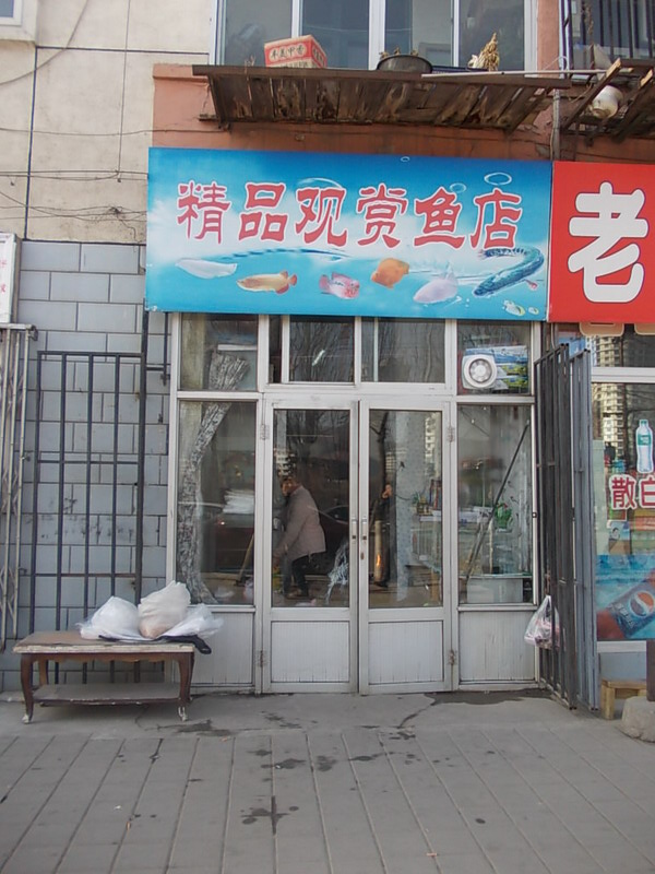 店名取名打分测试结果_土特产店名怎么取名_土特产店名怎么取名