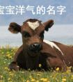 牛年女宝宝起名大全集姓李，属牛的女宝宝洋气的取名有哪些？