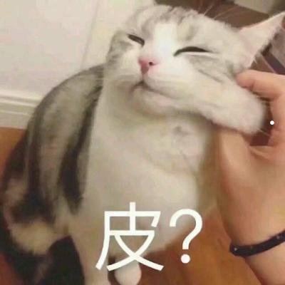 想养猫和鱼情侣网名