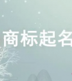 潮流好听的商标名字