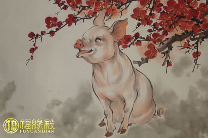 姓任属马的起名宜忌_属猪女起名宜忌_2014年属马的起名宜忌
