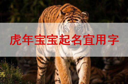 虎年女宝宝起名2010年1月_阴历2010年虎年阴历12月21日出生_2010虎年女宝宝取名大全