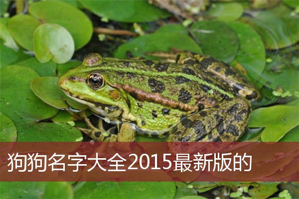 狗狗名字大全2015最新版的 