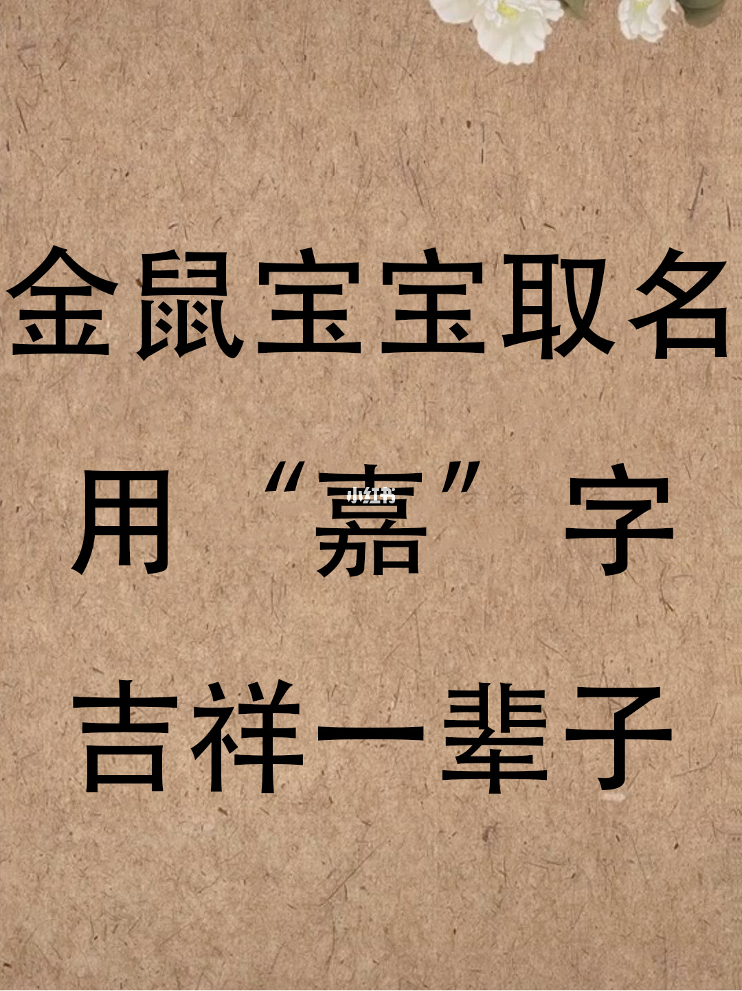 属鼠女宝宝取名字适合用哪些字呢