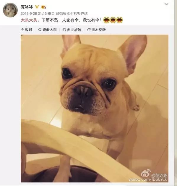 小母狗起名字_为什么我家的小母狗有时去强奸小公狗_幼犬起名大全母狗