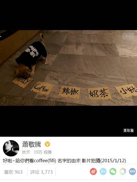 为什么我家的小母狗有时去强奸小公狗_幼犬起名大全母狗_小母狗起名字