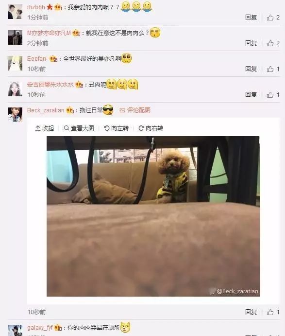 幼犬起名大全母狗_为什么我家的小母狗有时去强奸小公狗_小母狗起名字